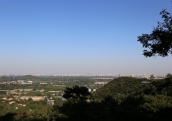 金山陵园环境图