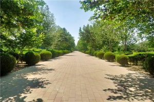 探秘廊坊市万桐园公墓的人文与自然之美