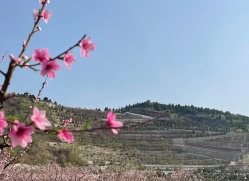 雁阳山公墓环境