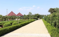 思亲园陵园环境图1584758071970