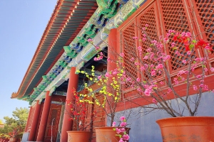 中华永久陵园景观图片