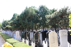 八宝山人民公墓环境图