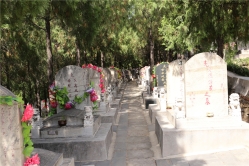 龙泉公墓环境实拍