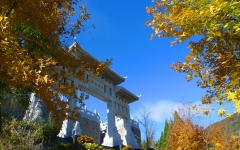 清东陵万佛园环境实拍1-23101Q04420W3