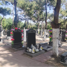 传统立碑荷花碑