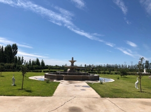 现代殡葬选择与规划指南