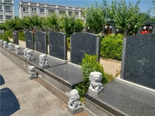 万桐园陵园价格全解析：透明服务与合理收费的深度探讨