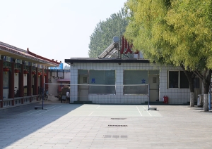 墓地选购指南：价格、环境与服务的综合考量