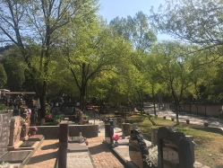 八达岭陵园环境图