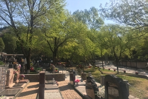 八达岭陵园景观图片