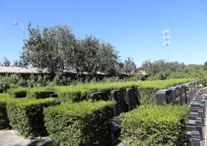 北京福田公墓：宁静安息的理想之选