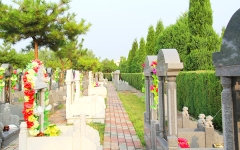 涿州万佛园公墓环境1-23101Q15502296