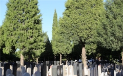 通惠陵园环境图154831040220879