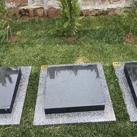 点击查看源图 生态树葬卧碑