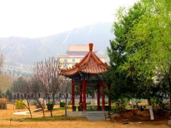 点击查看源图 灵山宝塔陵园图片环境实拍图