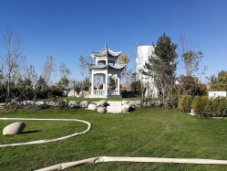卧龙公墓环境实拍