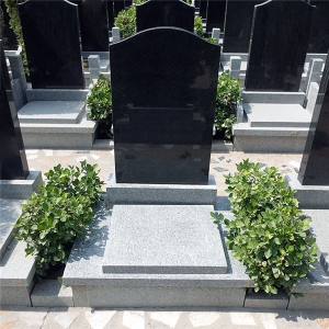 北京陵园皇家龙山的历史文化与现代价值