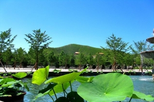 极乐园公墓景观图片