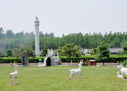 极乐园公墓环境实拍
