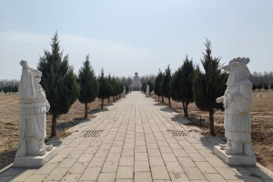 简单介绍_10