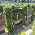 天荷园立碑186400