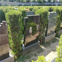 天荷园立碑1864005