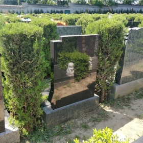 天荷园立碑186400