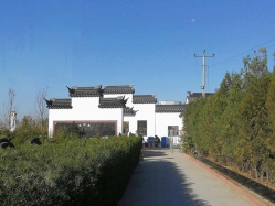 卧龙公墓环境实拍