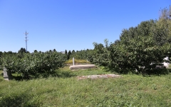 福田公墓环境图墓区绿化