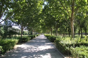 如何选择合适的陵园墓地风水宝地