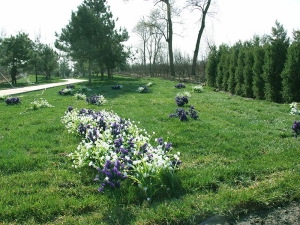 廊坊万桐园陵园：自然与人文交融的生命栖息地