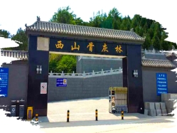 西山骨灰林陵园