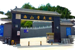 西山骨灰林陵园景观图片