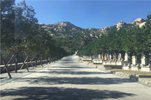 西山公墓景观图片
