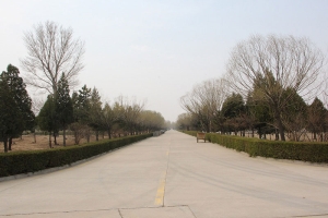 中华永久陵园景观图片