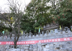 金山陵园环境图