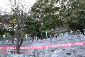 金山陵园景观图片
