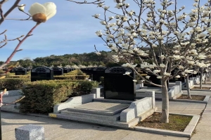 雁阳山公墓景观图片