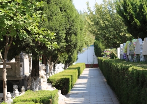 天慈墓园官网打造宁静安息的永恒家园