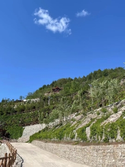 雁阳山公墓环境