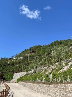 雁阳山墓地安息之地的详细介绍