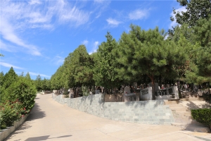 龙泉公墓景观图片