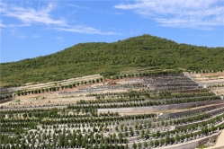 龙泉公墓环境实拍