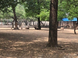 万桐园公墓环境实拍