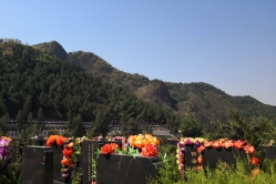 盘龙台公墓环境图