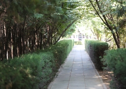 天堂公墓环境图