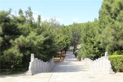 龙泉公墓环境实拍