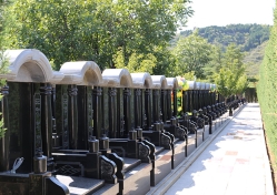 天山陵园环境图