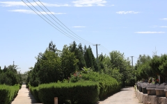 炎黄陵园环境图1-1P306125606