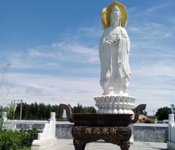 卧龙公墓环境实拍